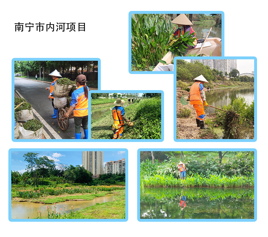 1742283635212292.jpg 內河、柳心湖.jpg