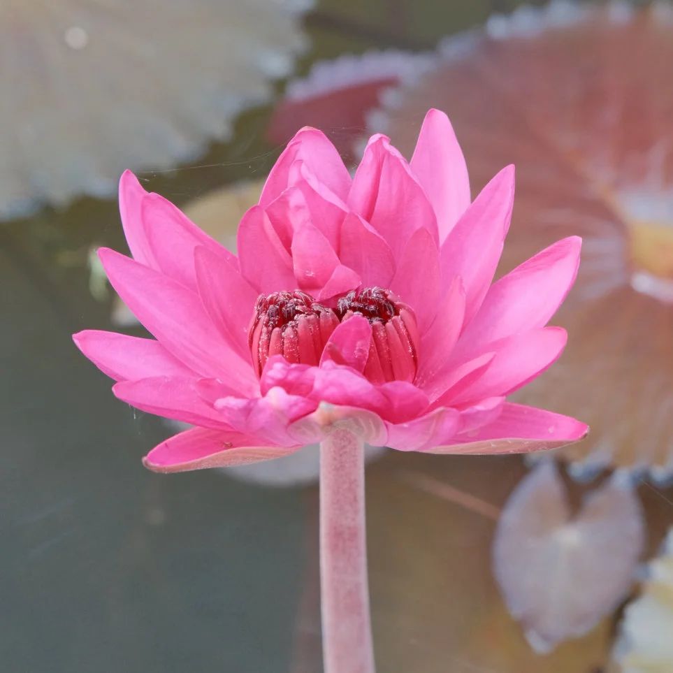 1751872728496292.jpg 3482d846ffcf0132108258186a4500ee.jpg