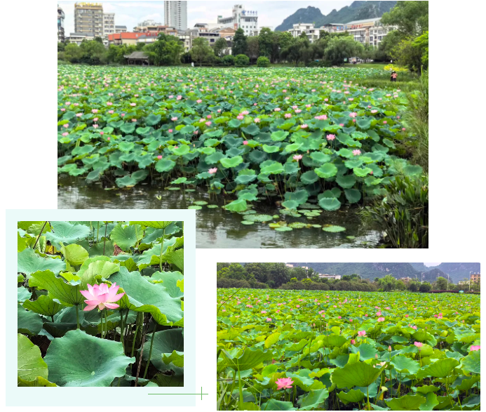 1751962090334491.png 企業微信截圖_17519617784948.png