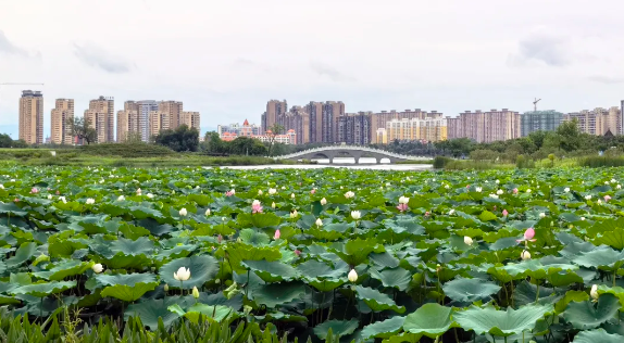 1751962136448477.png 企業微信截圖_17519617869621.png